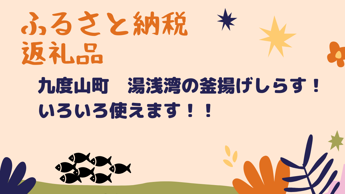 ふるさと納税返礼品！ 九度山町　湯浅湾の釜揚げしらす